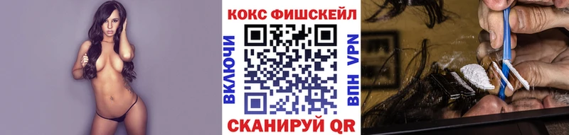 Купить где  Нарткала  Cocaine Fish Scale 