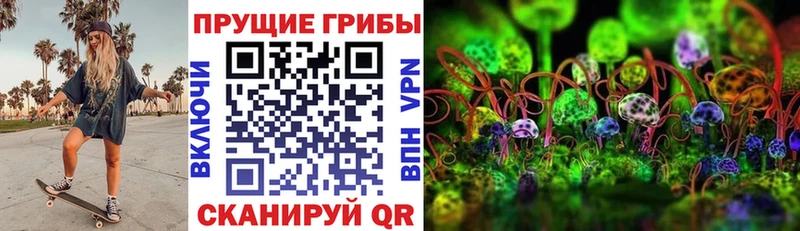 Псилоцибиновые грибы прущие грибы Купить Нарткала